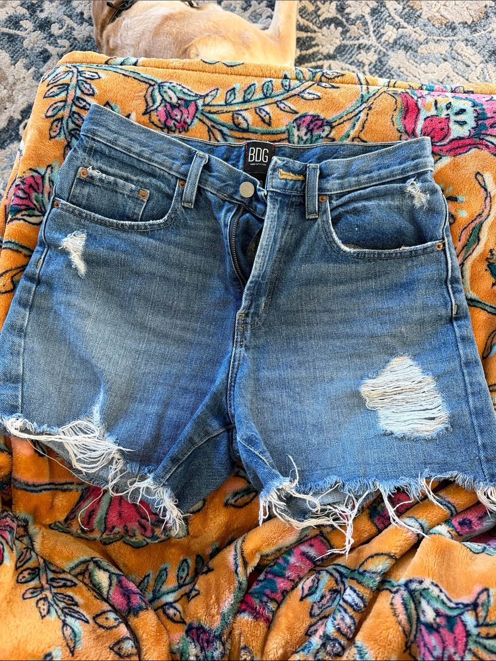 BDG Blue Distressed Frayed Hem Jean Shorts